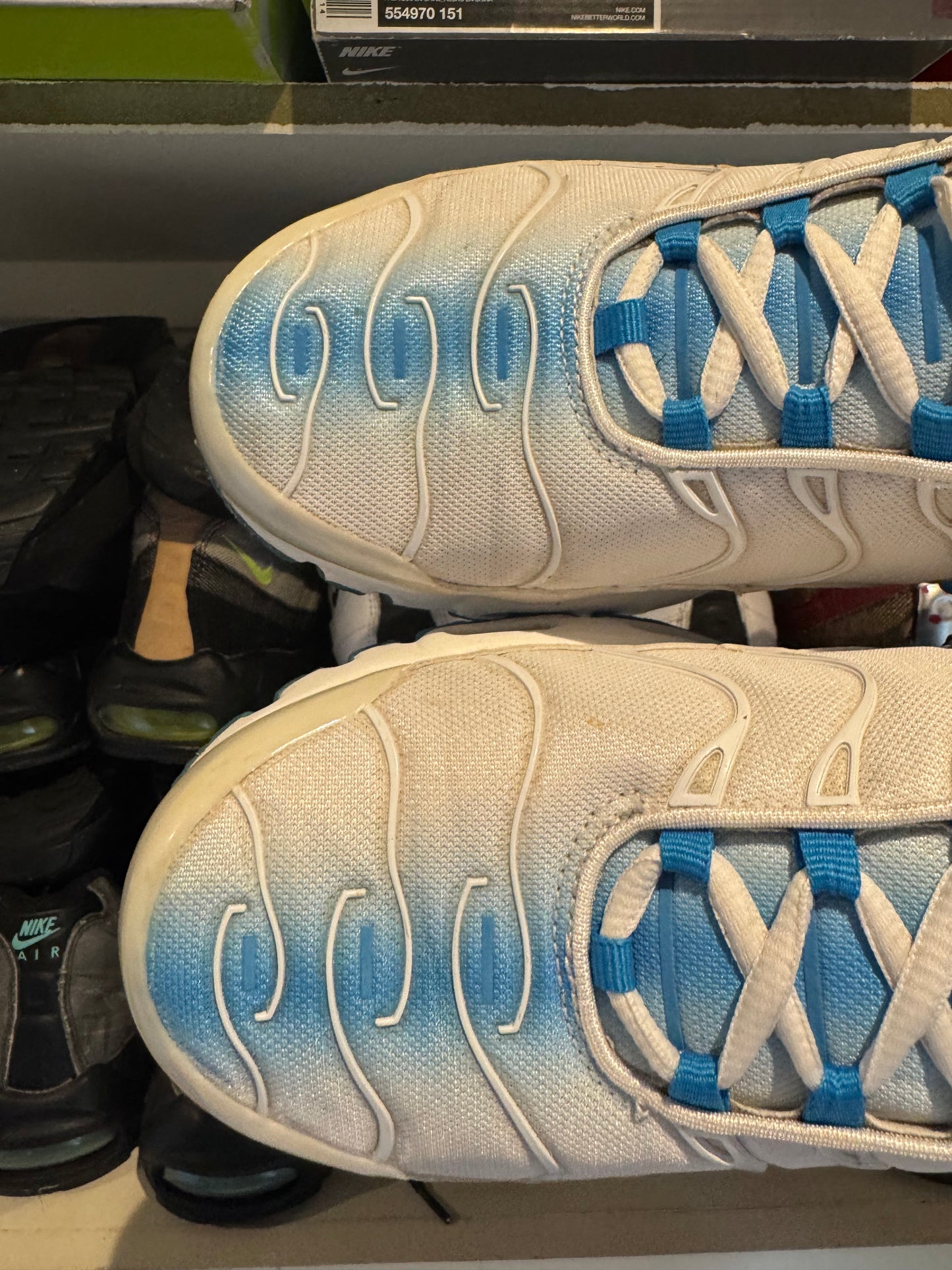 Nike air max plus tn ‘blue fade’