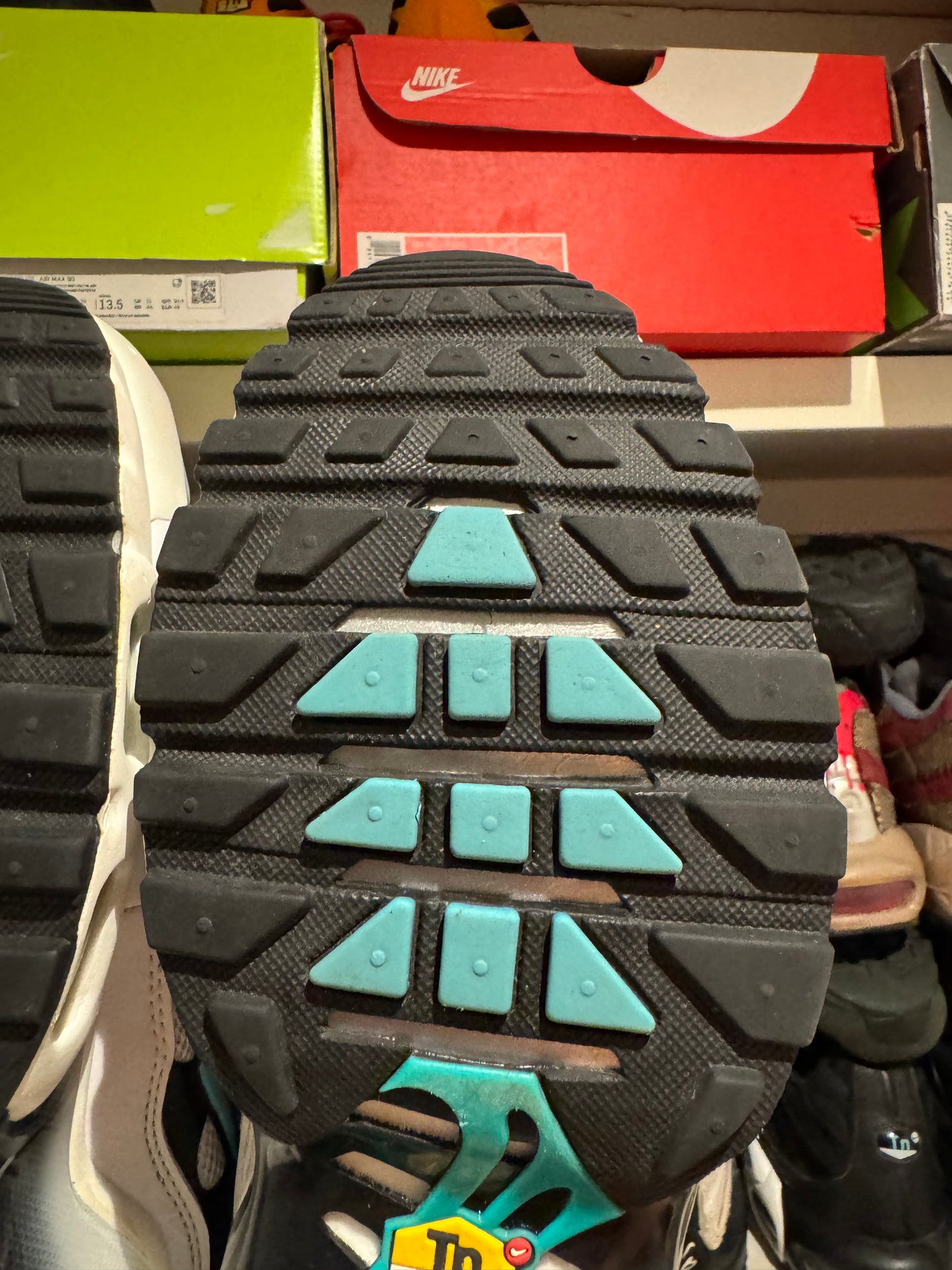 Nike air max plus “Atmos”