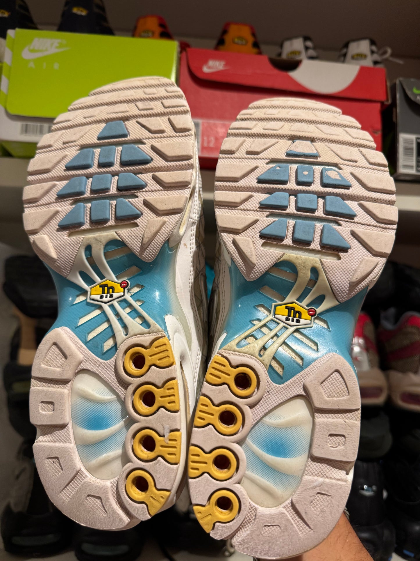 Nike Air max plus TN “Marseille”