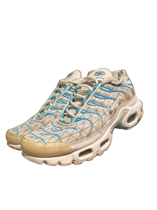 Nike Air max plus TN “Marseille”