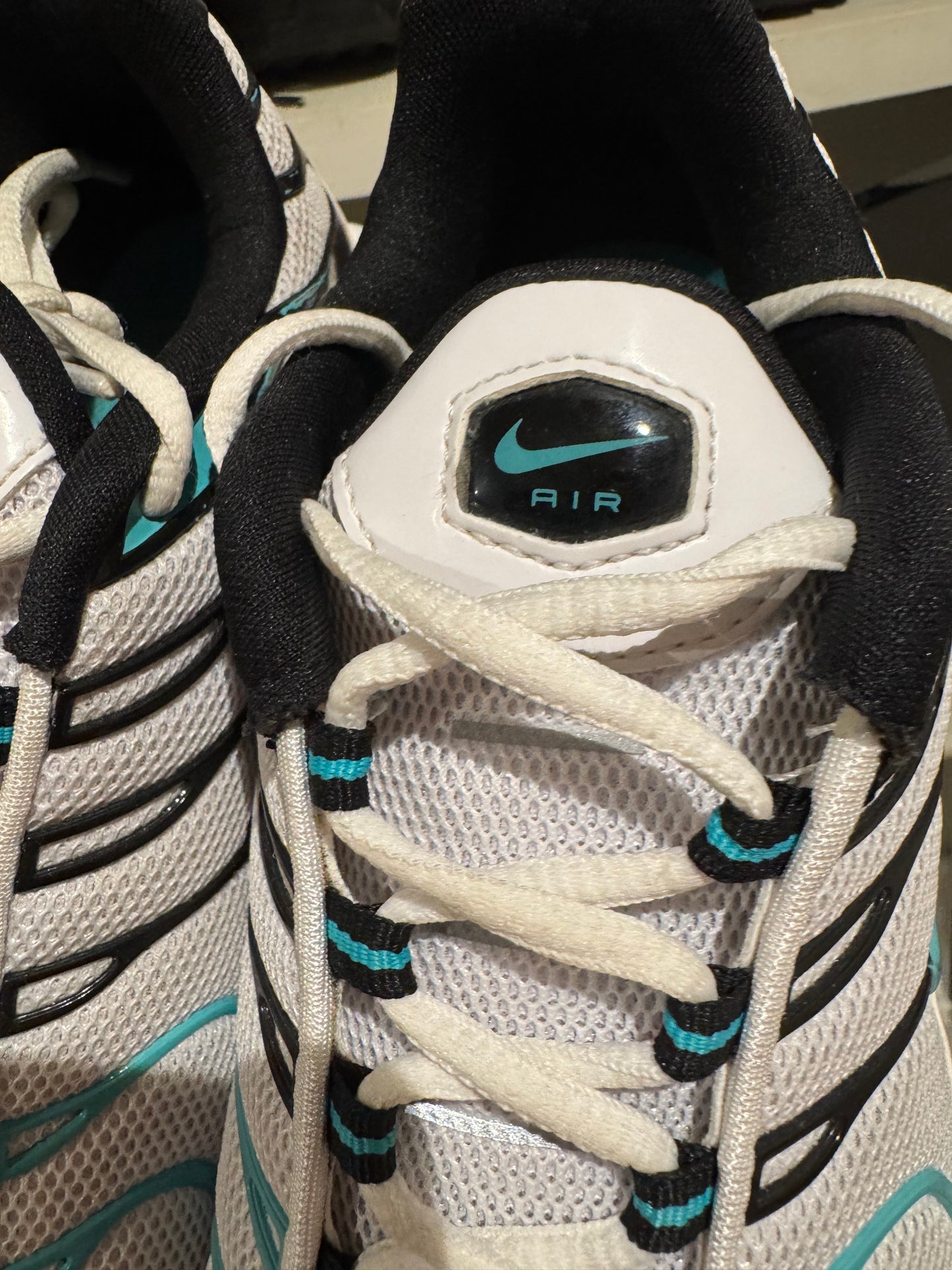 Nike air max plus “Atmos”