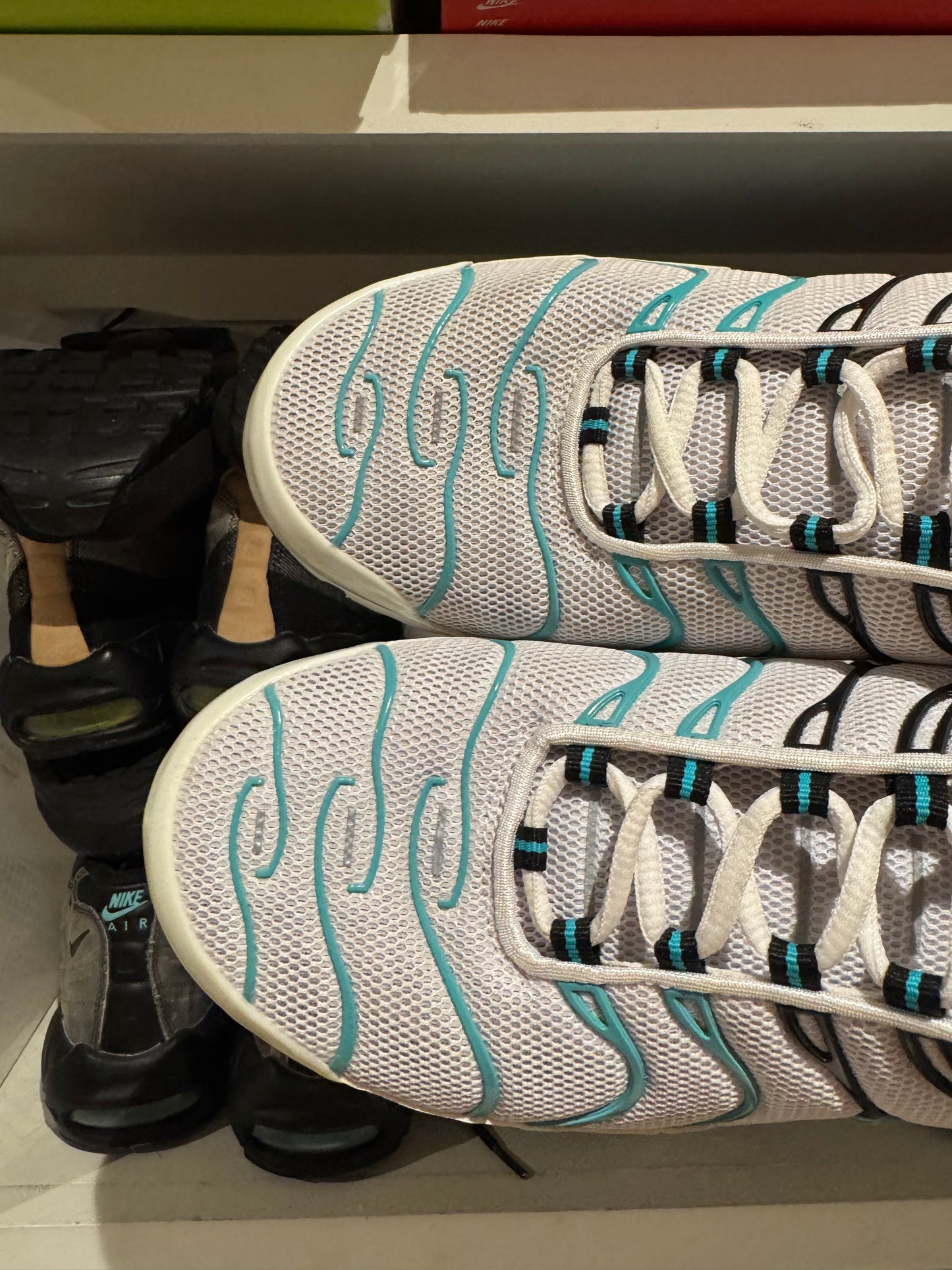 Nike air max plus “Atmos”