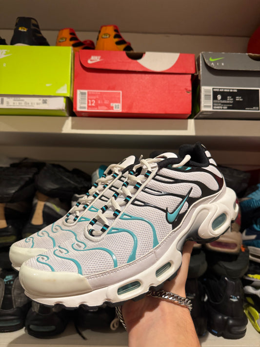 Nike air max plus “Atmos”
