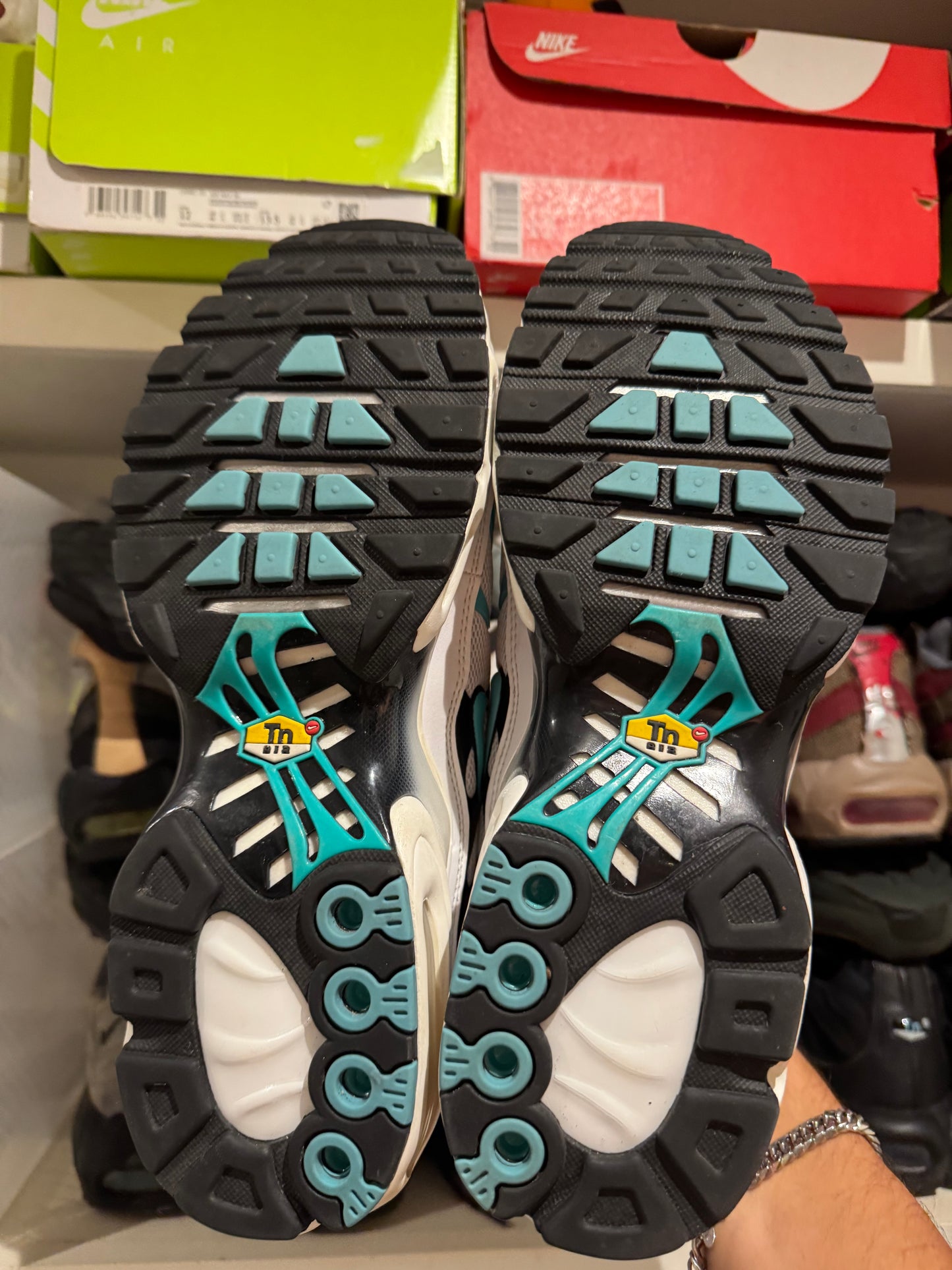 Nike air max plus “Atmos”