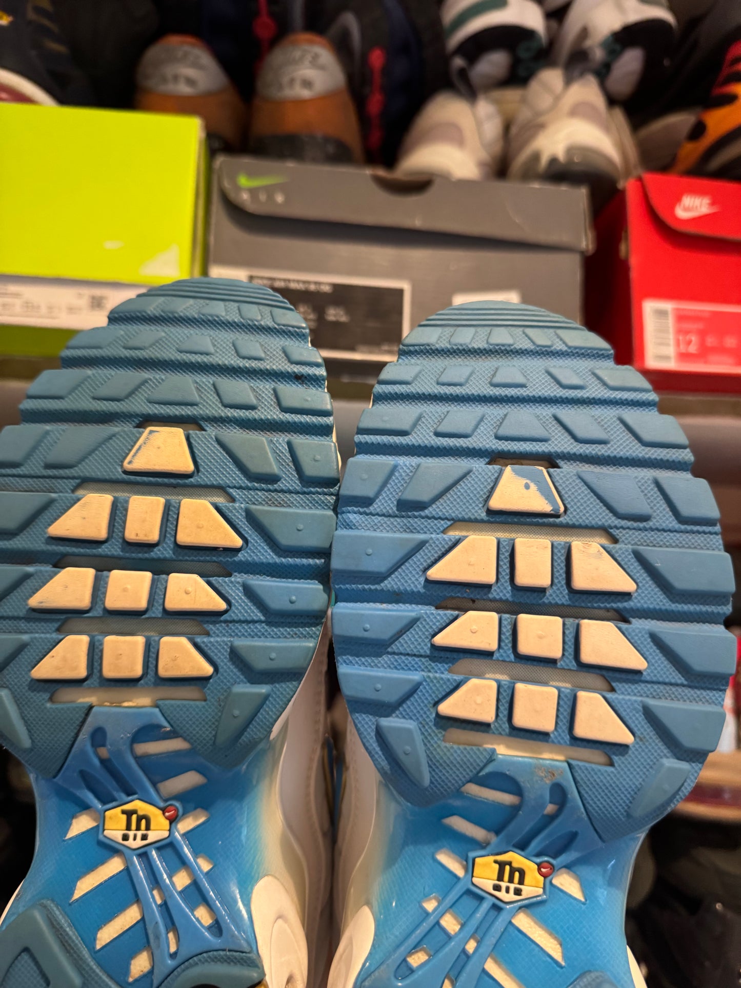 Nike air max plus tn ‘blue fade’